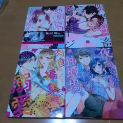 セイルウインドウ  順次処分中様 リクエスト 4点 まとめ商品