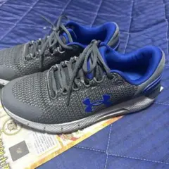 Item thumbnail for item 7530a390-b0b4-4614-be4c-3f86bc9b8011