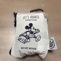 Item thumbnail for item 3a967f81-014a-4b80-ba2e-373f9b20577c