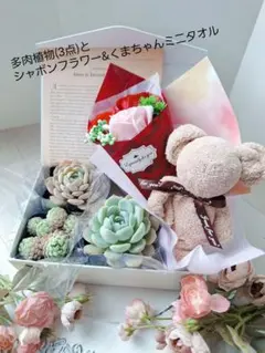 多肉植物・シャボンフラワー&ミニタオルセット