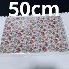 Item thumbnail for item 726a68b8-f2a5-4f0f-9625-1af26788bad6