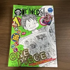 ONE PIECE magazine Vol.17