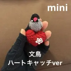 ◇ 文鳥♡白文鳥♡カラス♡セキセイインコ　あみぐるみ　かぎ針編み