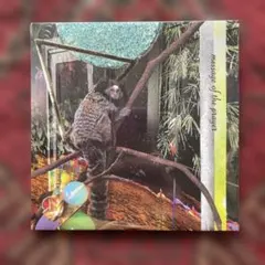 Item thumbnail for item 00447b26-516e-4689-b163-bc5748baf576