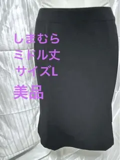 黒 タイトスカート 後ろファスナー　美品　Lサイズ