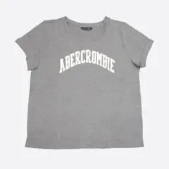 ★新品★アバクロンビー&フィッチ★アップリケロゴ半袖Tシャツ (Grey/M)