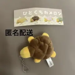 新江ノ島水族館 ひとくちカメロンパン メロンパン マスコットショコラ