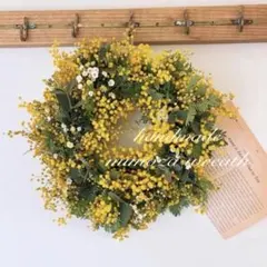 ＊ミモザ　ユーカリ　かすみ草＊　ドライフラワーリース　ミモザリース　3