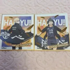 未使用 ハイキュー 名場面ポスター 第1弾 【月島蛍】 初期 希少品 影山