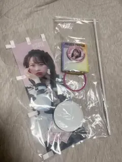 松本かれんフルーツジッパー