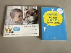 Item thumbnail for item e647af54-7571-4e8a-9c34-05abd755ee5e