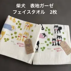 Item thumbnail for item 6a408061-84b3-4847-894c-5b16ebb005db