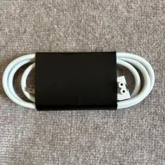 정품 애플 안경 AC 전원 코드