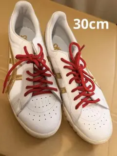 30cm アシックス　ゲル　ポイントゲッター