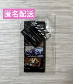 ディズニー ズートピア アクリルキーホルダー ボールチェーン シークレット