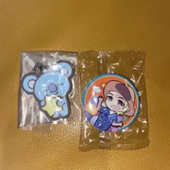 tinytan ぴた！でふぉめ　PTD 缶バッジ　RM おまけ付き