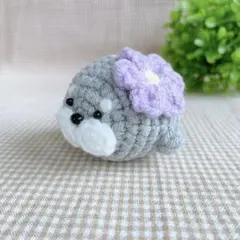 あざらし　あみぐるみ┊ハンドメイド　マスコット