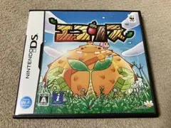 エコリス　ニンテンドーDSソフト