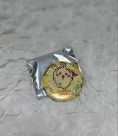 ちいかわ ちいかわパーク 缶バッジ