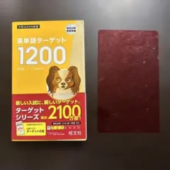 Item thumbnail for item 35d25656-31f2-45f1-bf34-fb207128b496