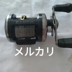 Daiwa BLACKSHEEP 300 ライギョ ベイトリール Daiwa BLACKSHEEP 300 ライギョ ベイトリール - メルカリ