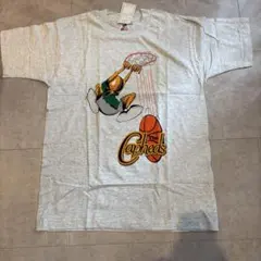 【希少デッドストック】90s USA製 フルーツオブザルーム