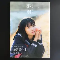 山﨑夢羽 絵日記 直筆サイン 山﨑夢羽 絵日記 直筆サイン