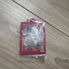 たまごクラブひよこクラブのだれでもアクリルチャーム2