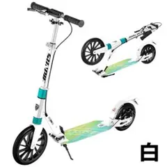 Item thumbnail for item 91ad8fa9-181c-44ab-8120-9d860eea5dcb