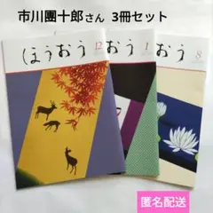 2025年最新】市川團十郎 手ぬぐいの人気アイテム - メルカリ