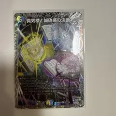 2026年最新】パーフェクトペテンシーの人気アイテム - メルカリ