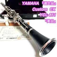 2026年最新】YCL-851の人気アイテム - メルカリ