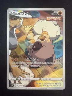 てん様 リクエスト 2点 まとめ商品