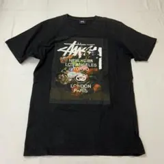 希少！ステューシー【サイケデリック Lサイズ】中古品 - メルカリ