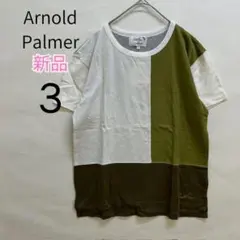 新品タグ付 ArnoldPalmer 半袖T マルチカラー ブロッキングデザインのサムネイル
