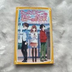 Item thumbnail for item 26d87564-b6ff-4dbc-ba34-188217fdabd3