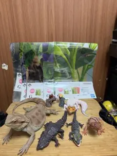 爬虫類　フィギュア　一番くじ