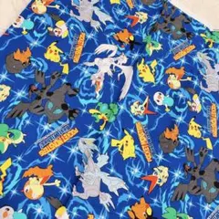 ポケモン はぎれ ベストウィッシュ ゼクロム レシラム ブラックホワイト 美品♥