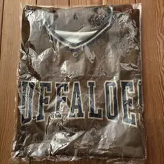 Item thumbnail for item cc095842-6f6c-41fa-b723-198fc0832ba4