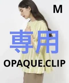 ハナミズキ 様専用ページ　オペークドットクリップ シアーストライプ