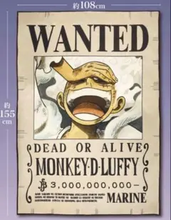 ワンピース ONE PIECE　モンキー・D・ルフィ 手配書ブランケット　ニカ