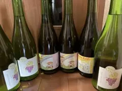 2026年最新】ドメーヌナカジマの人気アイテム - メルカリ