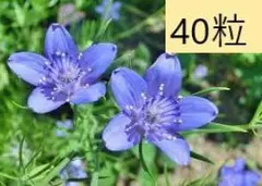 にゃわ様 リクエスト 4点 まとめ商品