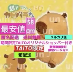 本日削除　超ドでかい！カピバラさんのぬいぐるみ　TAITO限定　箱配送