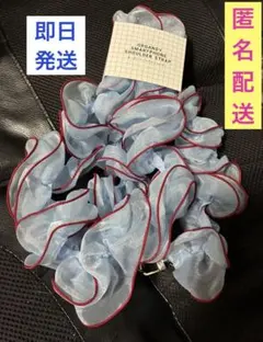即日発送　匿名配送　オーガンジーショルダーストラップ スリーコインズ　新品