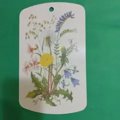 Item thumbnail for item 58d5bc47-59af-44ad-a234-8d4f888bee51