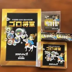 Item thumbnail for item 92d6b98f-190b-4b44-93ef-d7d46b86573b