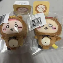 たぬきだもんくじC賞　ラッコ　古本屋