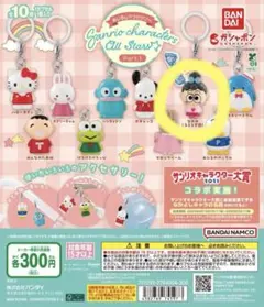 サンリオキャラクターズオールスターズ１ めじるしアクセサリー なおみ