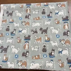 ワンチャンの生地です。 色は一枚目を見て下さい